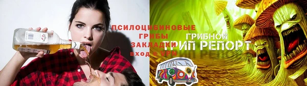 прущие грибы Медвежьегорск