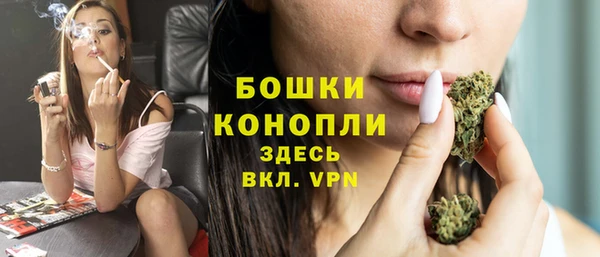 прущие грибы Медвежьегорск