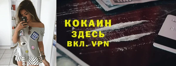 прущие грибы Медвежьегорск