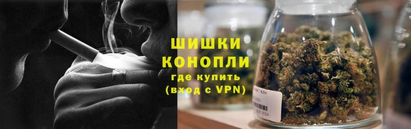 прущие грибы Медвежьегорск