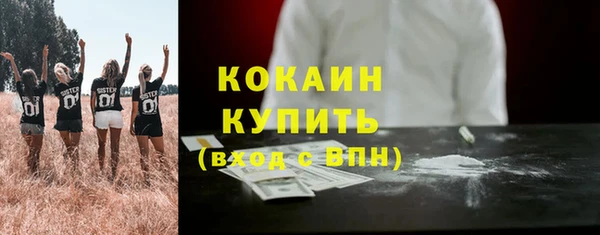 прущие грибы Медвежьегорск