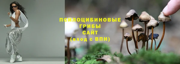 прущий лед Михайловка