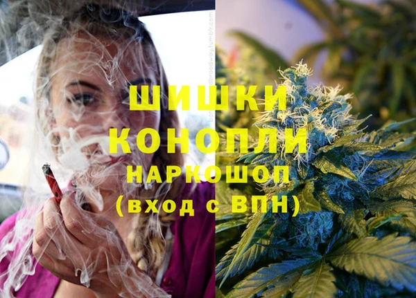 гидра Медногорск