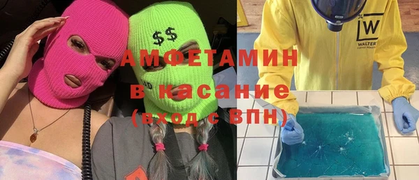 прущие грибы Медвежьегорск