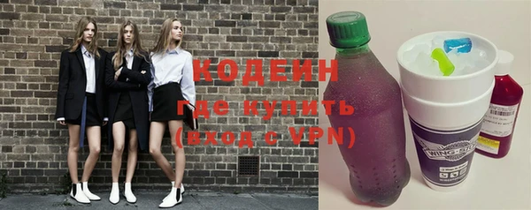 прущие грибы Медвежьегорск