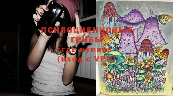 прущий лед Михайловка