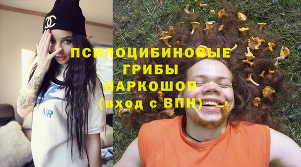 прущие грибы Медвежьегорск