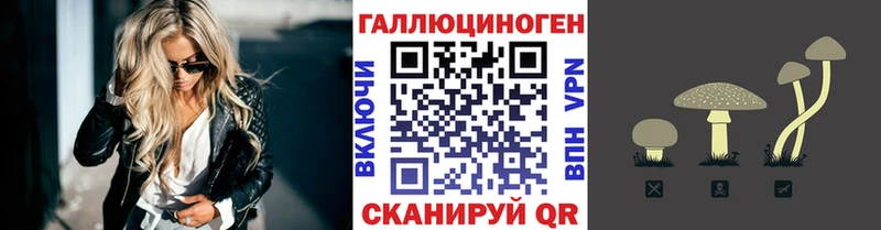 купить  цена  Дятьково  Псилоцибиновые грибы Magic Shrooms 