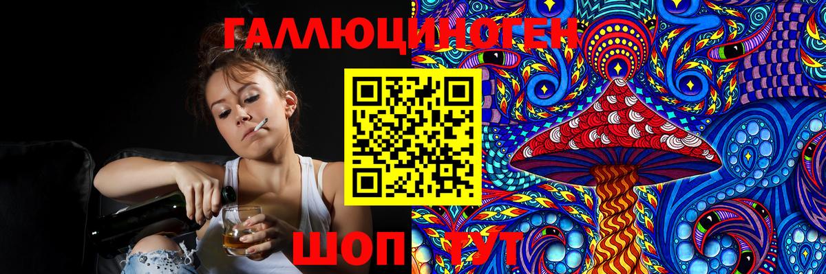 Галлюциногенные грибы Psilocybe Дятьково