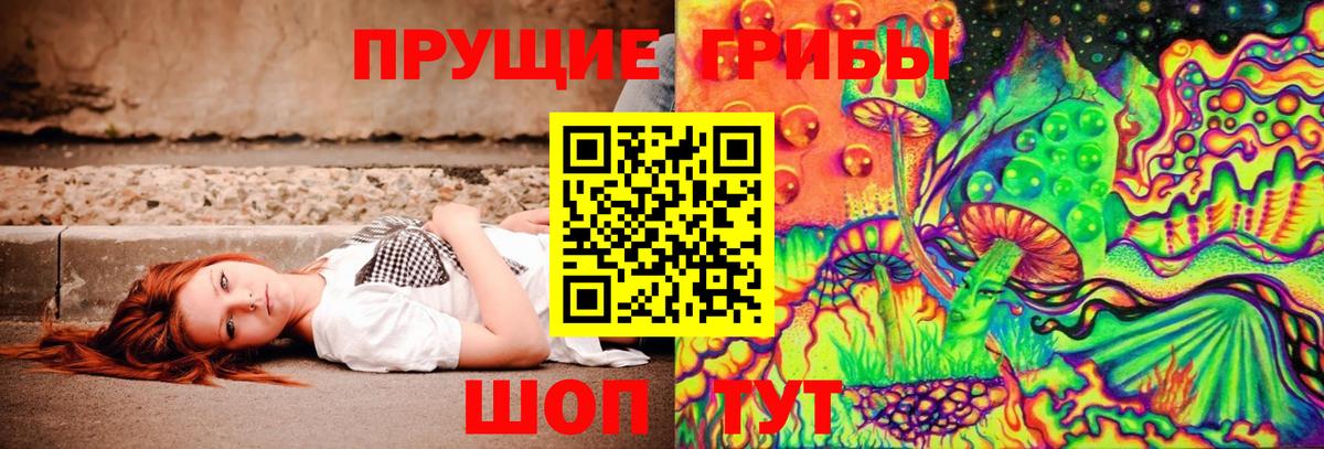 Галлюциногенные грибы GOLDEN TEACHER  Вход с VPN  Дятьково  Псилоцибиновые грибы Psilocybe 