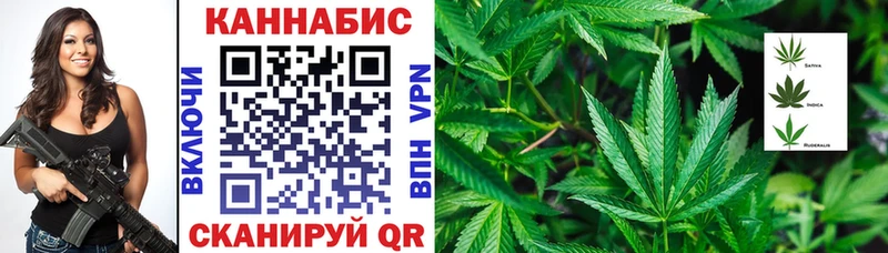 Марихуана тримм  mega ссылка  Дятьково  даркнет сайт 